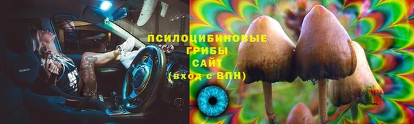 Альфа ПВП Беломорск